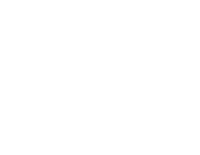 e2e4